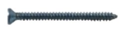 Close-up of a small screw used for vandal-resistant hardware installation